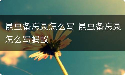 昆虫备忘录怎么写 昆虫备忘录怎么写蚂蚁