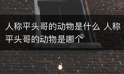 人称平头哥的动物是什么 人称平头哥的动物是哪个