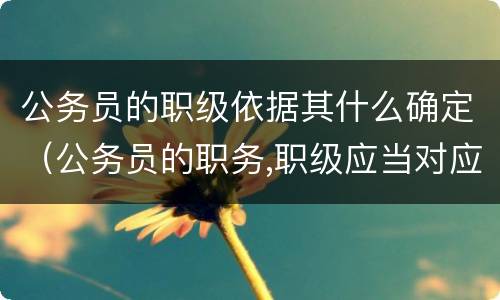 公务员的职级依据其什么确定（公务员的职务,职级应当对应相应的级别,其正确理解是）