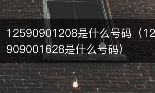 12590901208是什么号码（125909001628是什么号码）