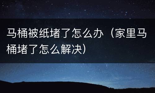 马桶被纸堵了怎么办（家里马桶堵了怎么解决）