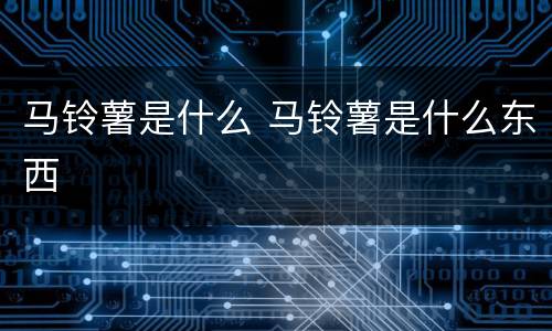 马铃薯是什么 马铃薯是什么东西