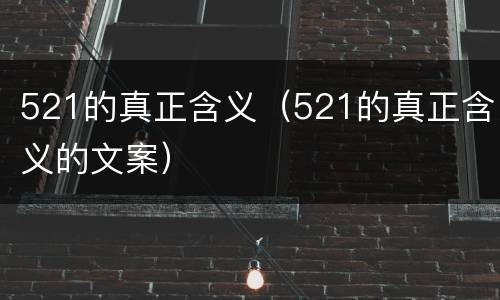 521的真正含义（521的真正含义的文案）