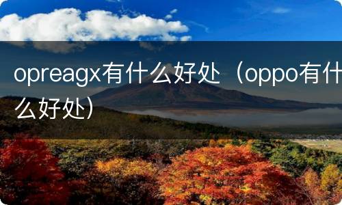opreagx有什么好处（oppo有什么好处）