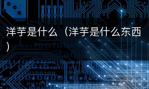 洋芋是什么（洋芋是什么东西）