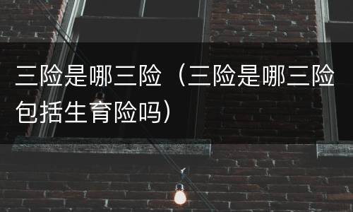 三险是哪三险（三险是哪三险包括生育险吗）