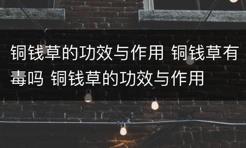 铜钱草的功效与作用 铜钱草有毒吗 铜钱草的功效与作用