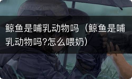 鲸鱼是哺乳动物吗（鲸鱼是哺乳动物吗?怎么喂奶）