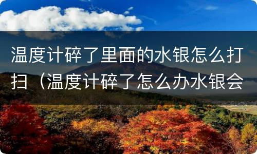 温度计碎了里面的水银怎么打扫（温度计碎了怎么办水银会对人体有害吗）