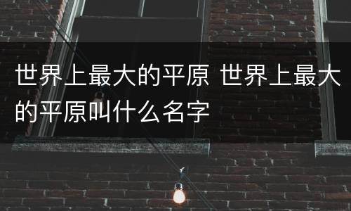 世界上最大的平原 世界上最大的平原叫什么名字