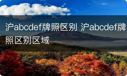 沪abcdef牌照区别 沪abcdef牌照区别区域