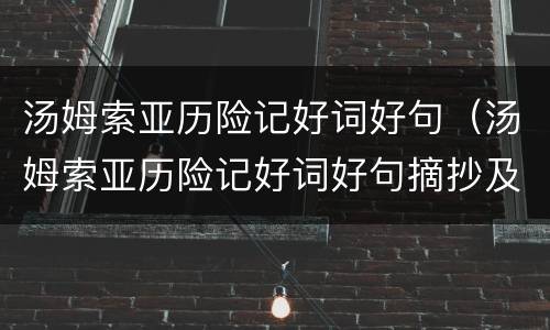 汤姆索亚历险记好词好句（汤姆索亚历险记好词好句摘抄及感悟）