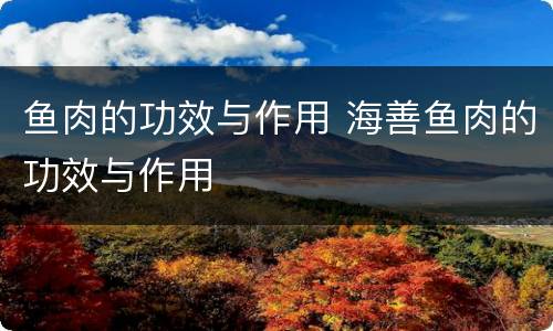鱼肉的功效与作用 海善鱼肉的功效与作用