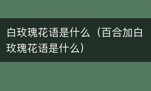 白玫瑰花语是什么（百合加白玫瑰花语是什么）