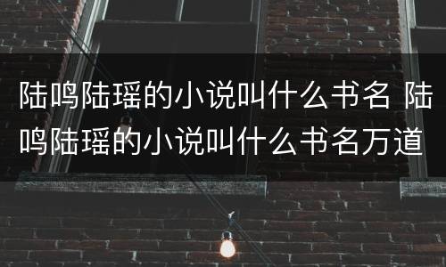 陆鸣陆瑶的小说叫什么书名 陆鸣陆瑶的小说叫什么书名万道龙皇,战龙真诀陆鸣