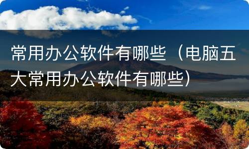 常用办公软件有哪些（电脑五大常用办公软件有哪些）