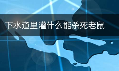 下水道里灌什么能杀死老鼠