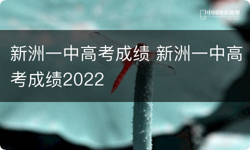 新洲一中高考成绩 新洲一中高考成绩2022