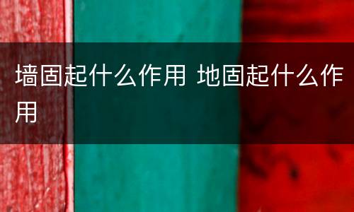 墙固起什么作用 地固起什么作用