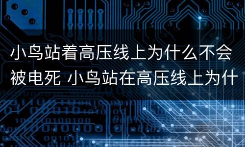 小鸟站着高压线上为什么不会被电死 小鸟站在高压线上为什么不会被电死?