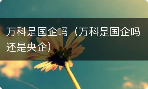 万科是国企吗（万科是国企吗还是央企）