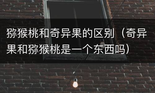 猕猴桃和奇异果的区别（奇异果和猕猴桃是一个东西吗）