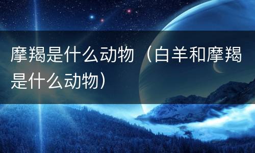 摩羯是什么动物（白羊和摩羯是什么动物）