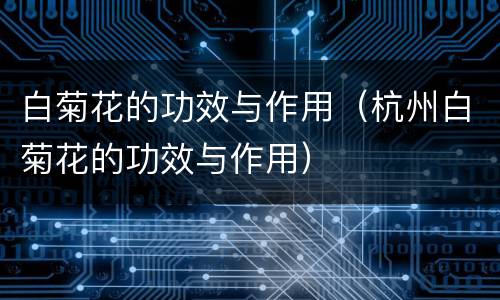 白菊花的功效与作用（杭州白菊花的功效与作用）