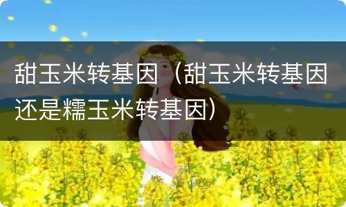 甜玉米转基因（甜玉米转基因还是糯玉米转基因）