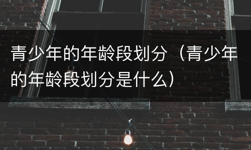 青少年的年龄段划分（青少年的年龄段划分是什么）