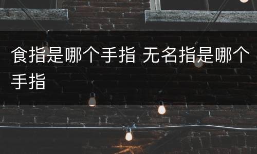 食指是哪个手指 无名指是哪个手指