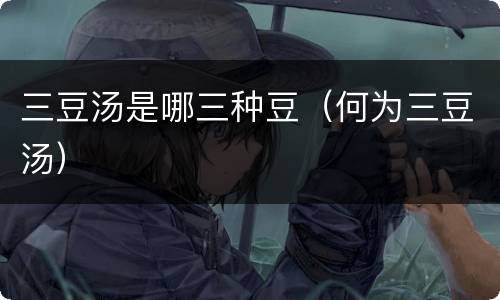 三豆汤是哪三种豆（何为三豆汤）