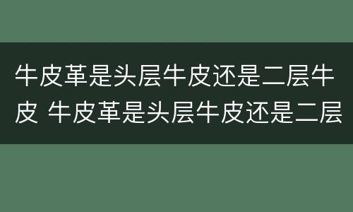 牛皮革是头层牛皮还是二层牛皮 牛皮革是头层牛皮还是二层牛皮好