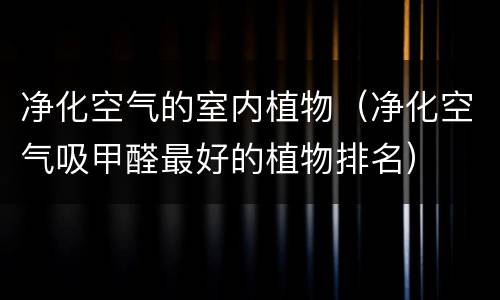净化空气的室内植物（净化空气吸甲醛最好的植物排名）