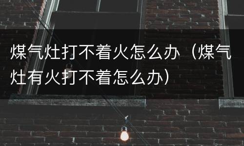 煤气灶打不着火怎么办（煤气灶有火打不着怎么办）