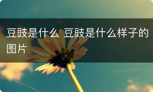 豆豉是什么 豆豉是什么样子的图片