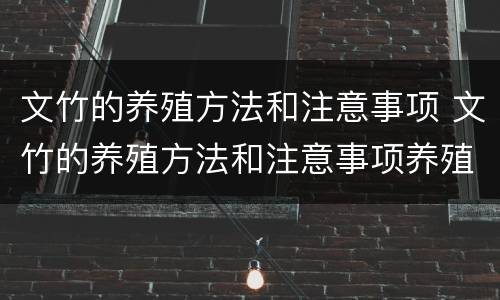 文竹的养殖方法和注意事项 文竹的养殖方法和注意事项养殖日记