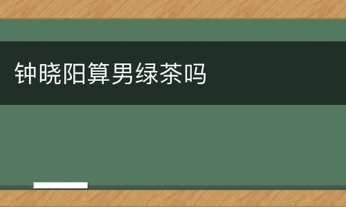 钟晓阳算男绿茶吗