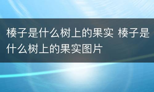 楱子是什么树上的果实 楱子是什么树上的果实图片