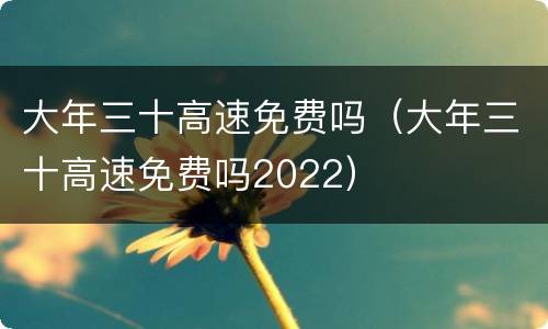 大年三十高速免费吗（大年三十高速免费吗2022）