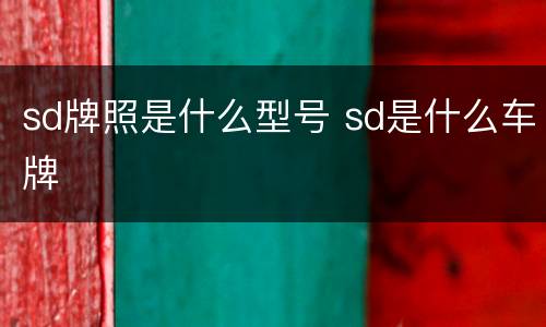 sd牌照是什么型号 sd是什么车牌