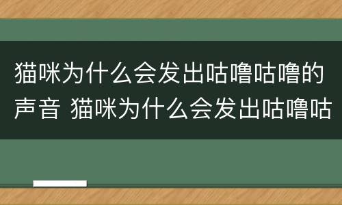 猫咪为什么会发出咕噜咕噜的声音 猫咪为什么会发出咕噜咕噜的声音视频