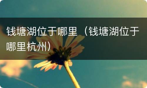 钱塘湖位于哪里（钱塘湖位于哪里杭州）