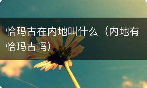 恰玛古在内地叫什么（内地有恰玛古吗）