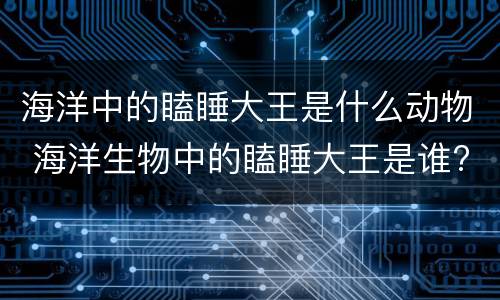 海洋中的瞌睡大王是什么动物 海洋生物中的瞌睡大王是谁?
