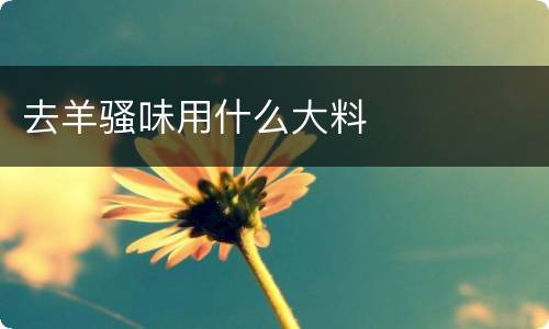 去羊骚味用什么大料