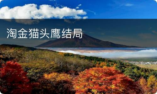 淘金猫头鹰结局