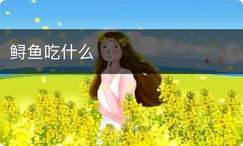鲟鱼吃什么