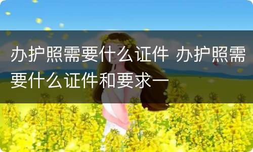 办护照需要什么证件 办护照需要什么证件和要求一
