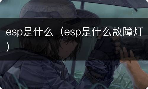 esp是什么（esp是什么故障灯）